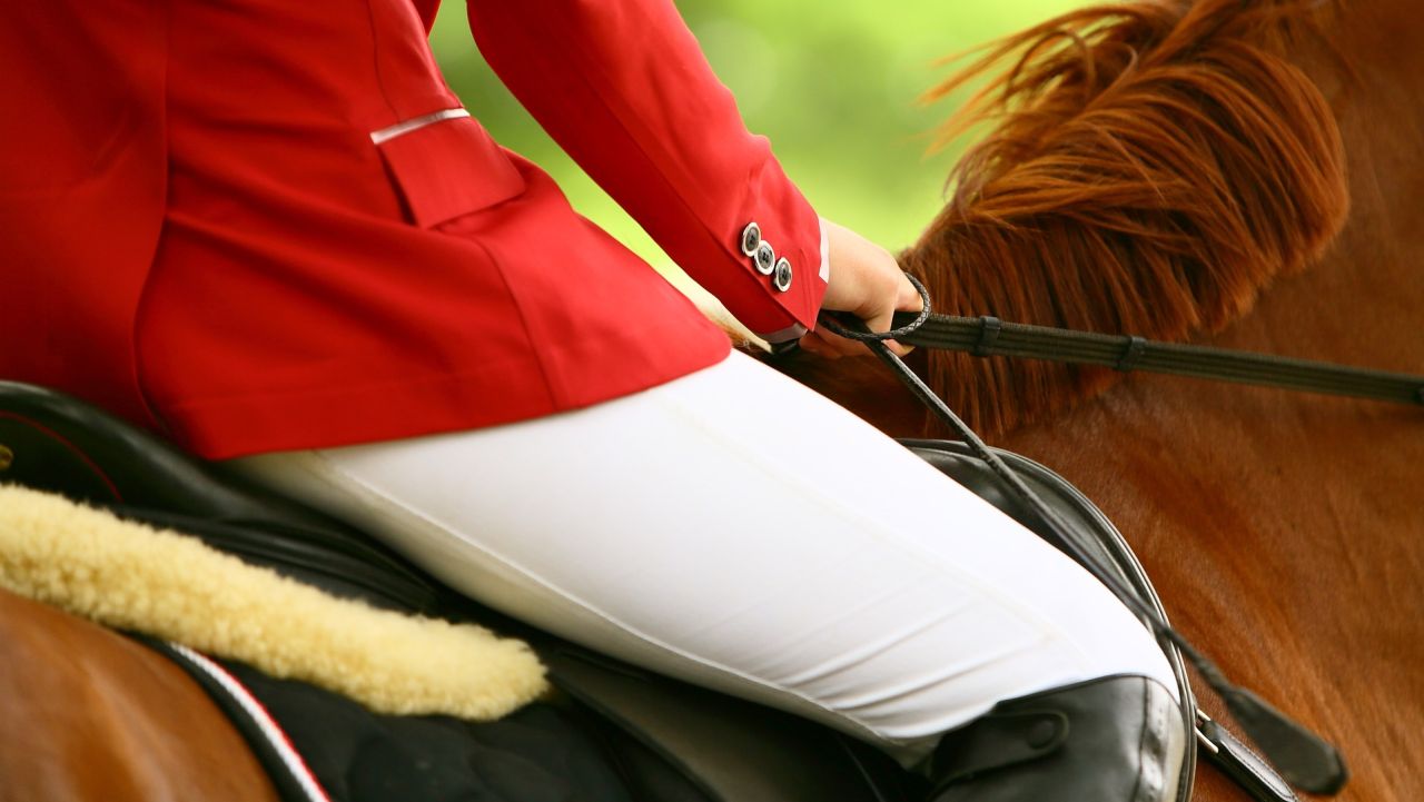 Ponad setka koni weźmie udział w zawodach jeździeckich, które odbędą się na szczecińskim Osowie.